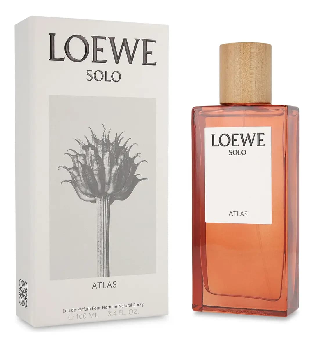 Loewe Solo Atlas EDP 100 ml Perfume para Hombre Floral