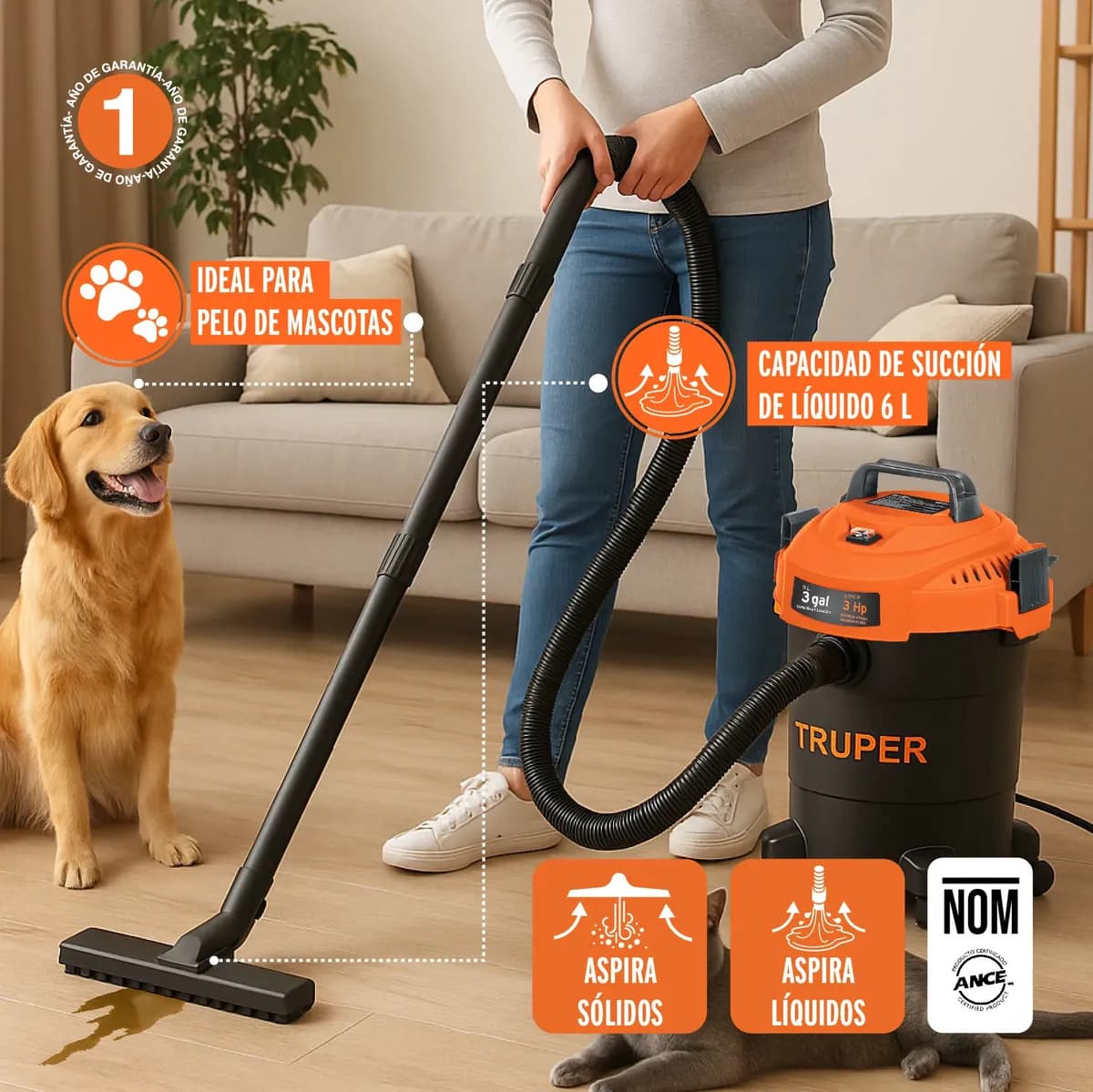Aspiradora de sólidos y líquidos TRUPER, 3 HP, 3 Galones, ASP-03N