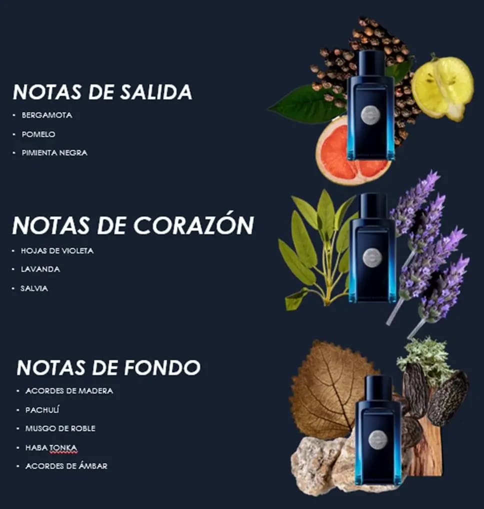 Banderas The Icon EDT 100 ml Perfume para Hombre
