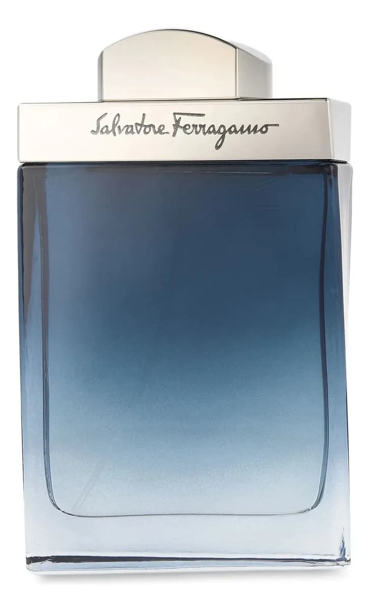 Salvatore Ferragamo Subtil pour Homme EDT 100 ml Perfume para Hombre