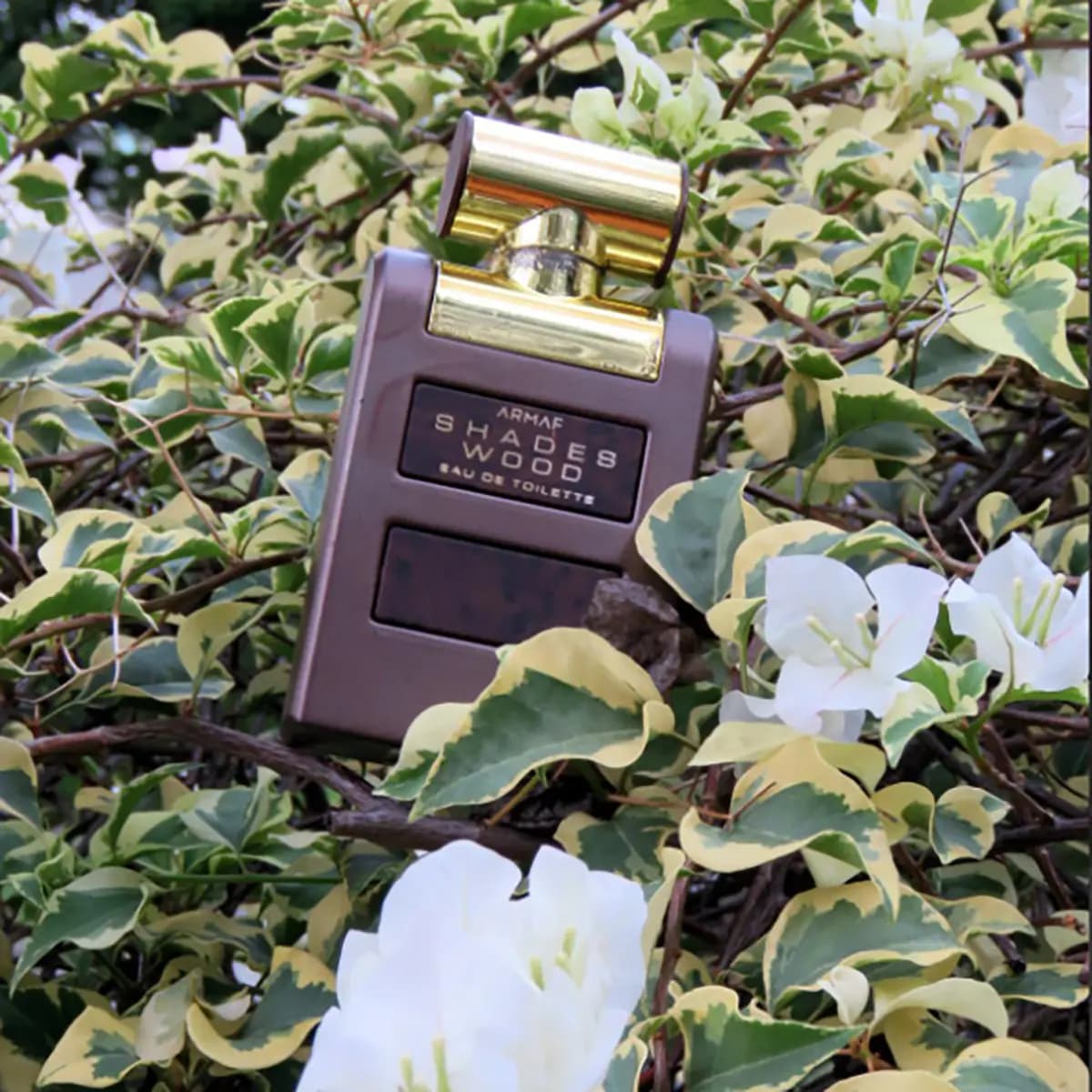 Armaf Shades Wood EDP 100 ml Perfume para Hombre