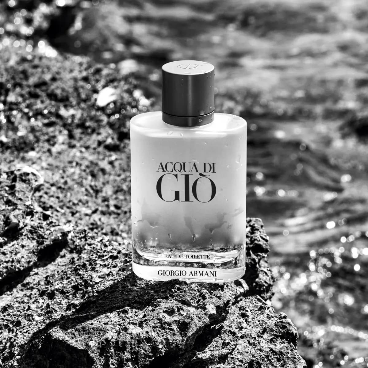 Giorgio Armani Acqua Di Gio EDT 100 ml Perfume para Hombre
