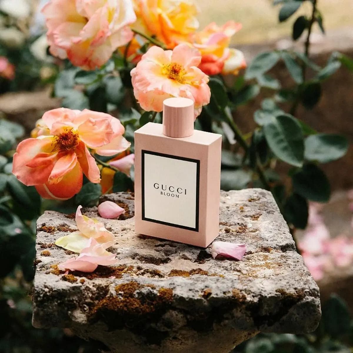 Gucci Bloom Nettare Di Fiori EDP 100 ml Perfume para Mujer