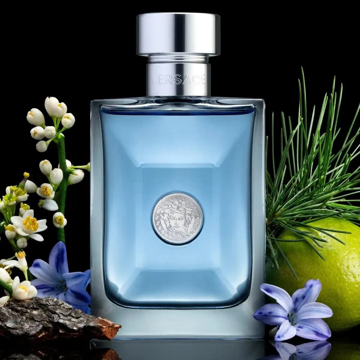 Versace Pour Homme EDT 100 ml Perfume para Hombre