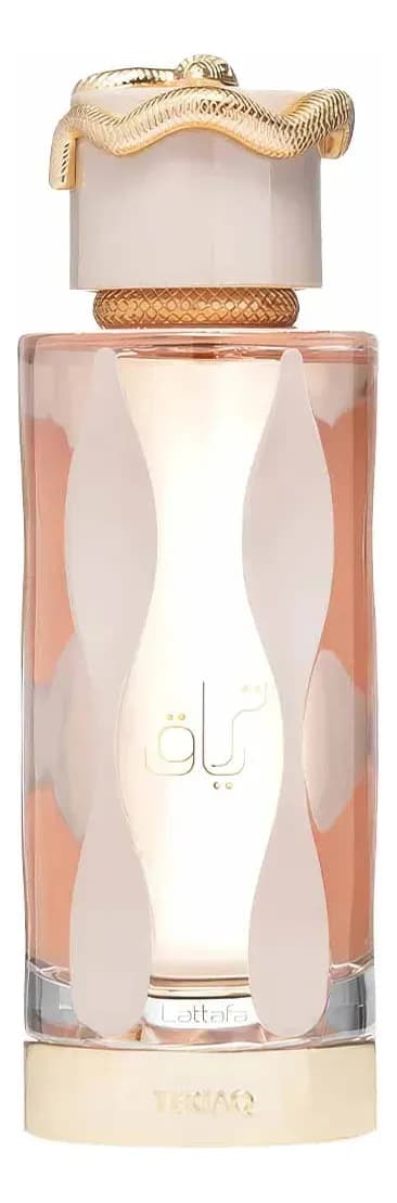 Perfume Lattafa Teriaq Eau de Parfum 100 ml