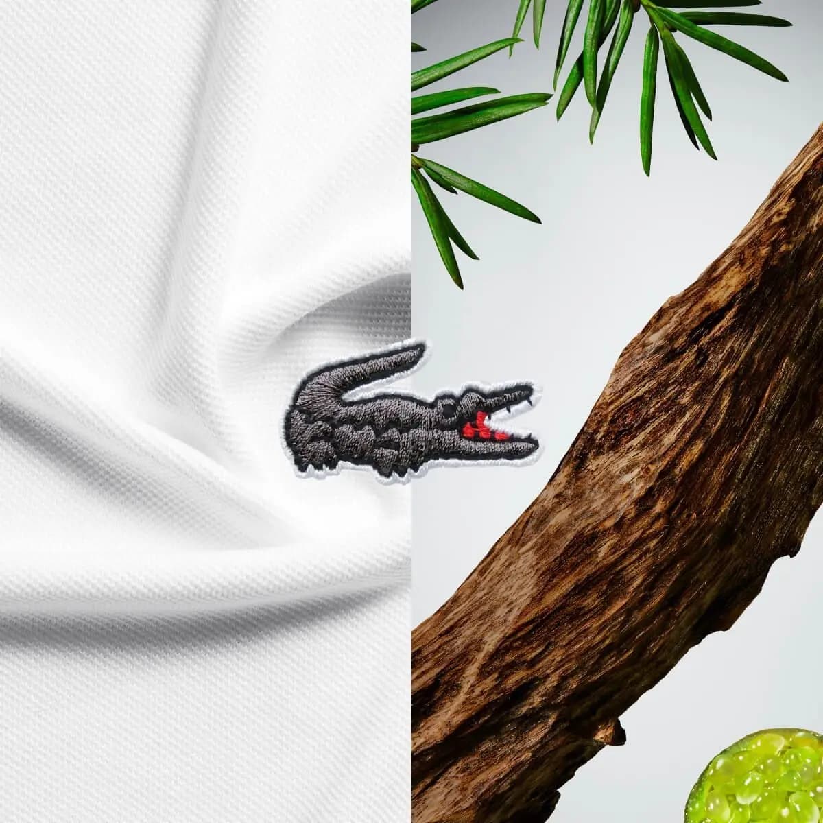 Lacoste L.12.12 Blanc EDP 100 ml Perfume para Hombre