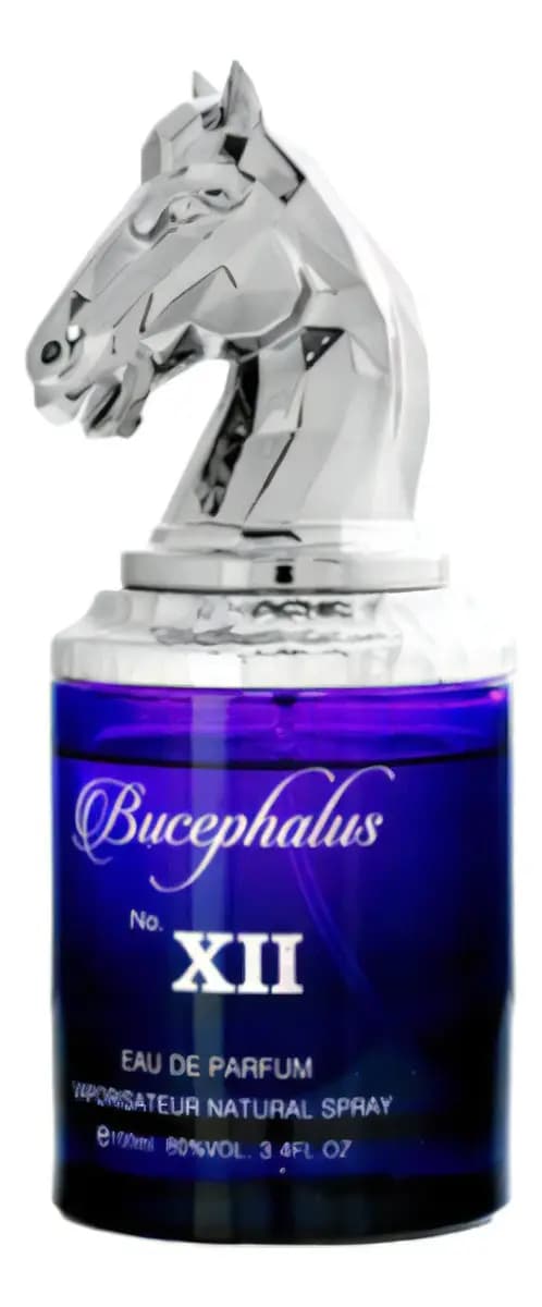 Armaf Bucephalus No Xii EDP 100 ml Perfume Unisex Intenso