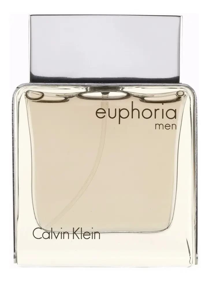 Perfume Calvin Klein Euphoria 100 ml Edt Caballero