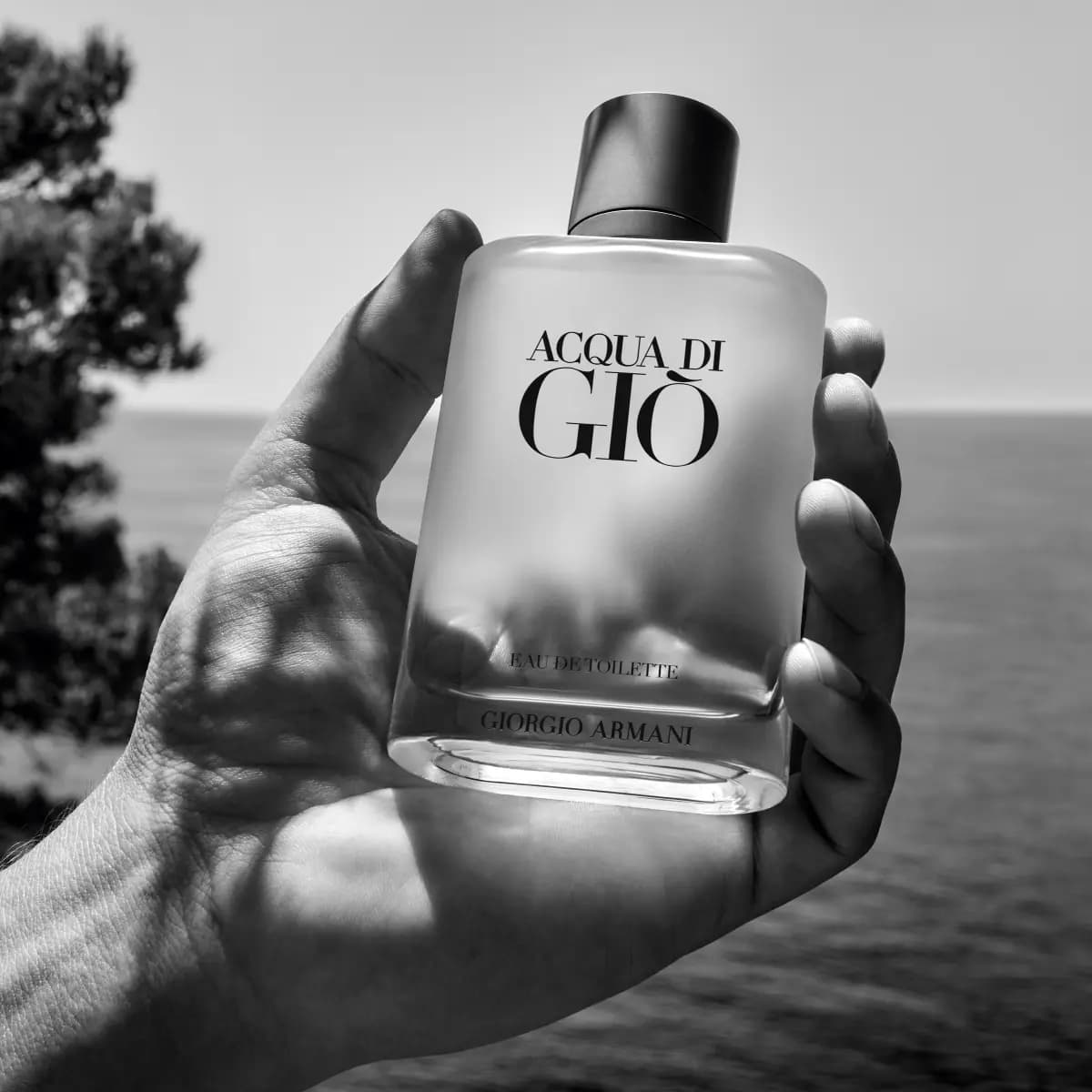 Giorgio Armani Acqua Di Gio EDT 100 ml Perfume para Hombre