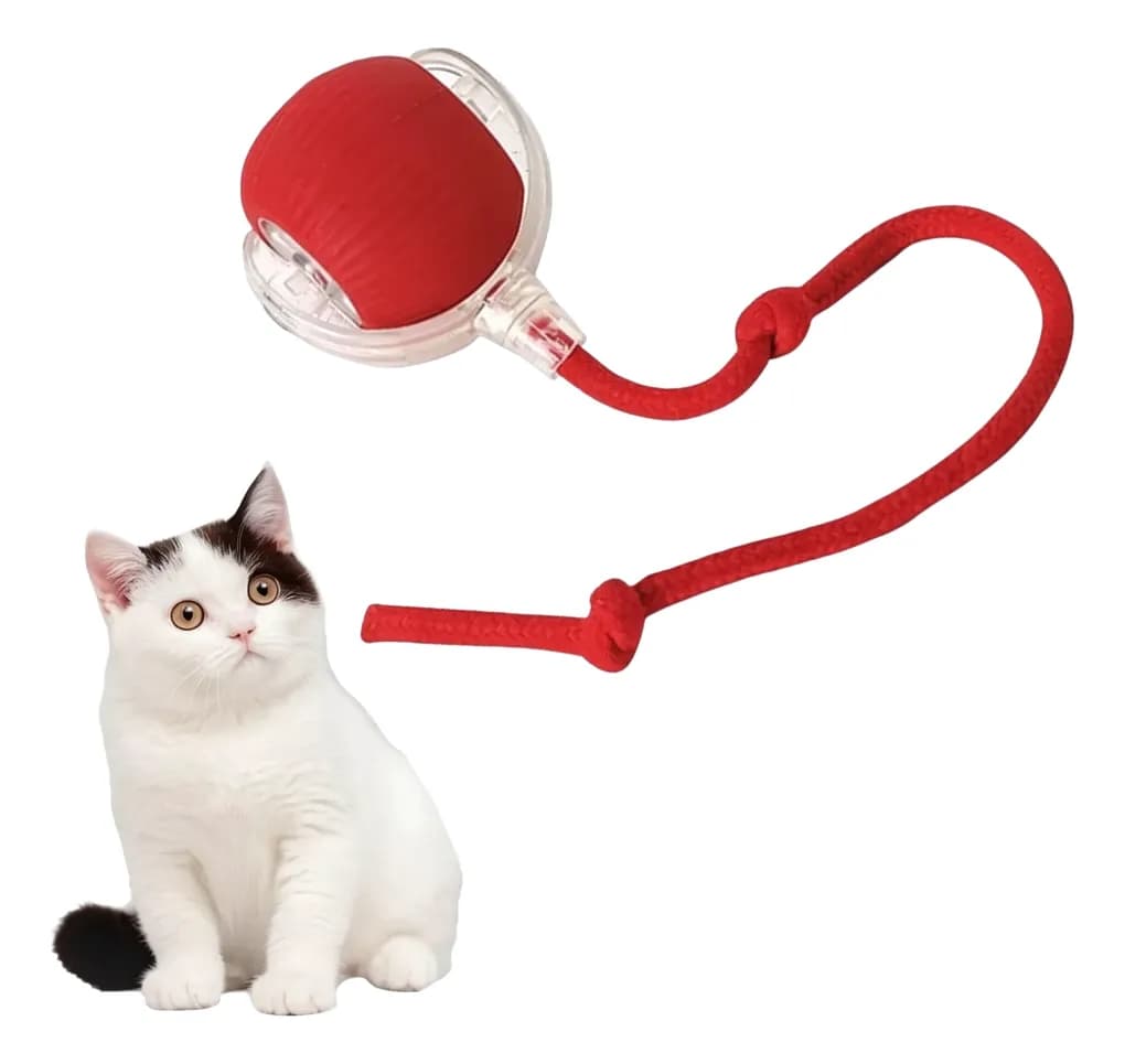 360° Pelota Interactiva Juguetes Eléctrica Para Perro Gato