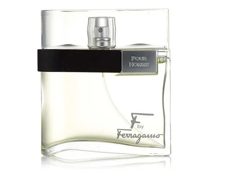 Salvatore Ferragamo Ferragamo EDT 100 ml Perfume para Hombre