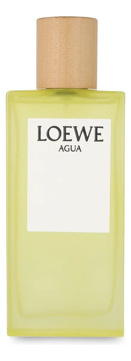 Loewe Agua De Loewe EDT 100 ml Perfume Unisex Amaderado
