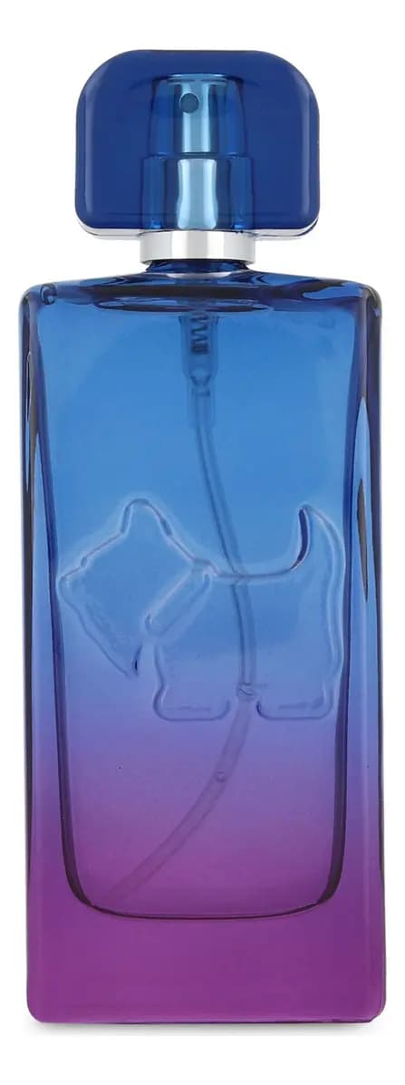 Ferrioni Sunset Vibes Bombay EDT 100 ml Perfume Unisex
