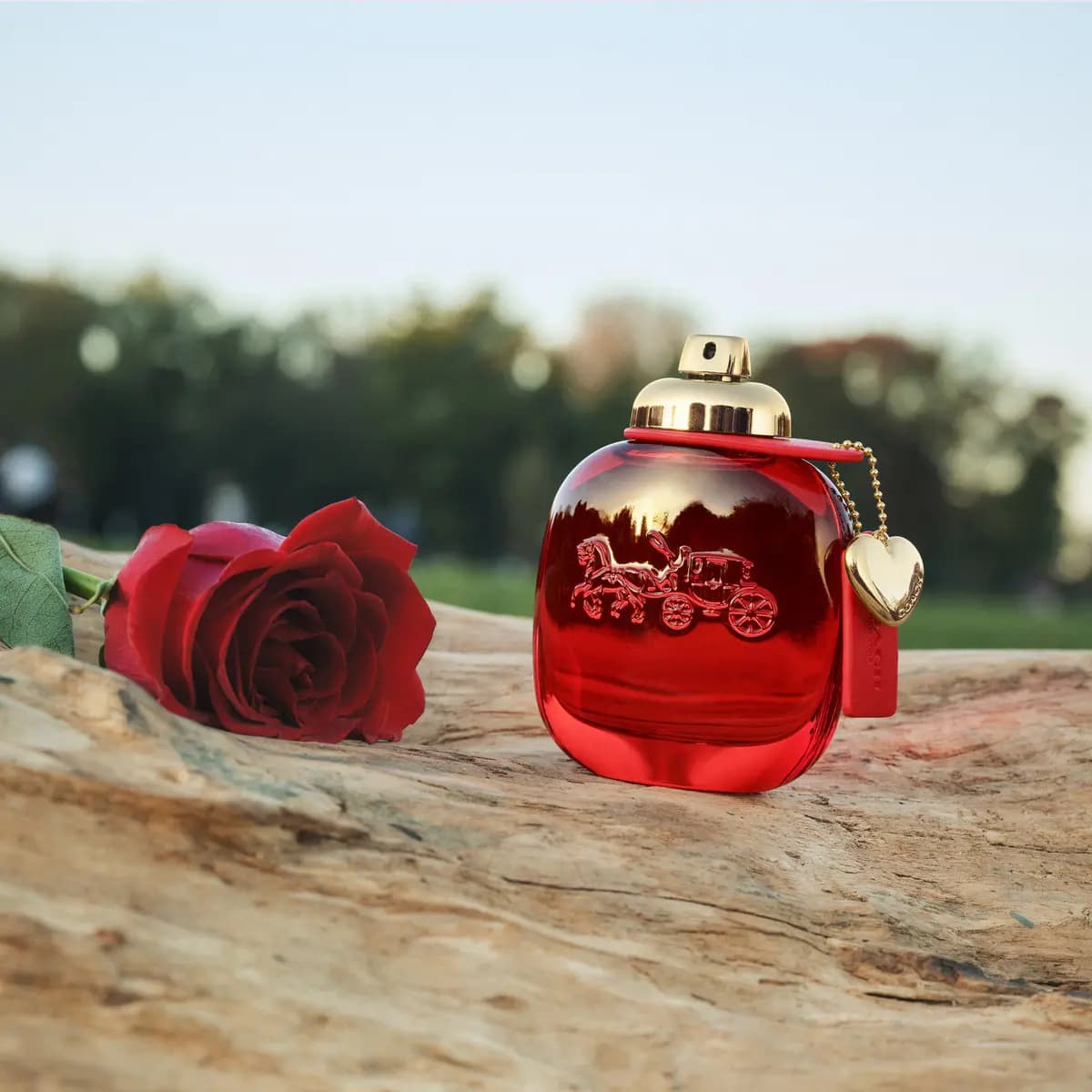 Perfume Coach Love Edp 90ml