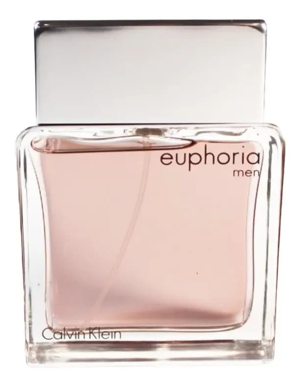 Perfume Calvin Klein Euphoria 100 ml Edt Caballero