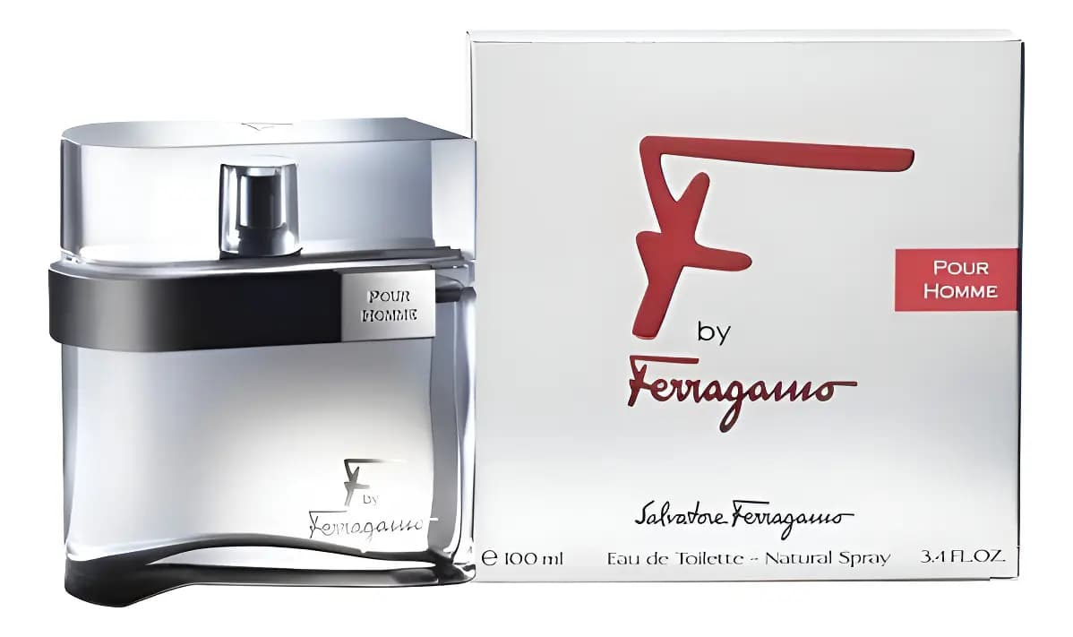 Salvatore Ferragamo Ferragamo EDT 100 ml Perfume para Hombre