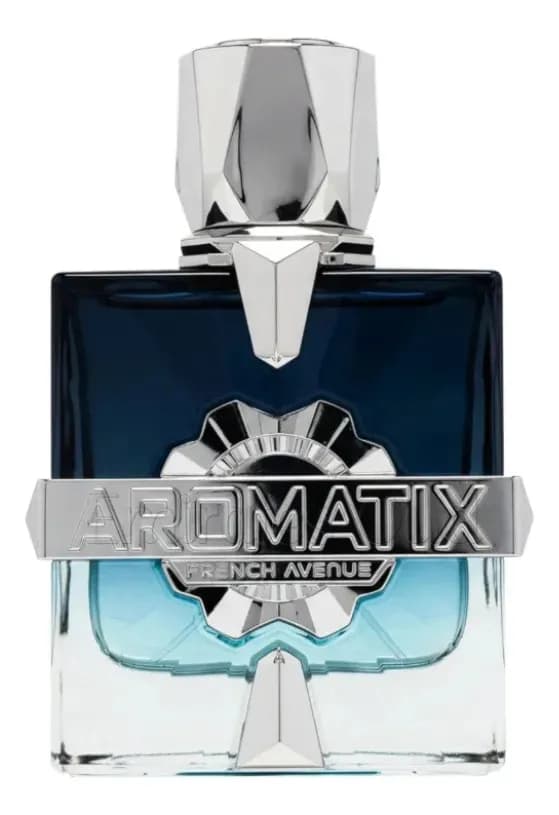 French Avenue Aromatix Frostbite EDP 100 ml Perfume para Hombre